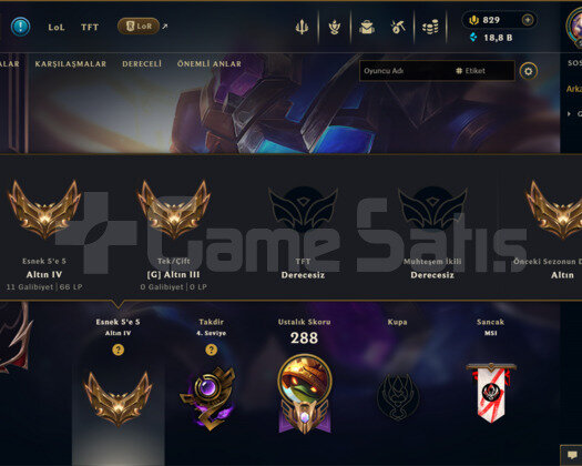 TR | 602 KOSTÜM 281 LVL GOLD EFSANE MAİL HESAP