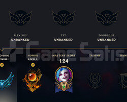TR plat 1 27 LP 30 LP alan hesap