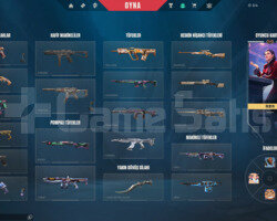 ARCANELİ 4 VANDALLI MAİNLİK ACC!