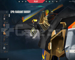 EP9 RADYANT HESAP