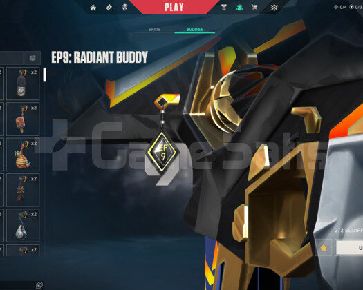EP9 RADYANT HESAP