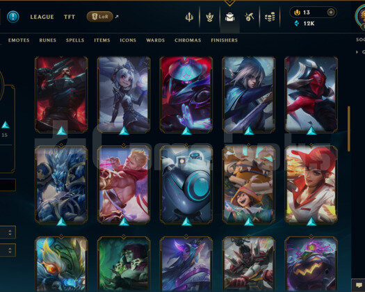 TR | 53 SKİN | UNRANKED