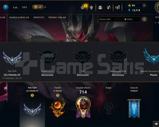 466 KOSTÜM 667 LVL SILVER EFSANE DOLU MAİL HESAP