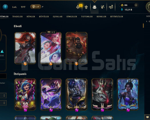 466 KOSTÜM 667 LVL SILVER EFSANE DOLU MAİL HESAP