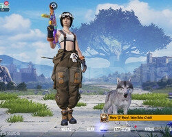 Pubg Mobile Ucuz hesap