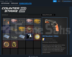 10 YILLIK JETONU BULUNAN STEAM HESABI