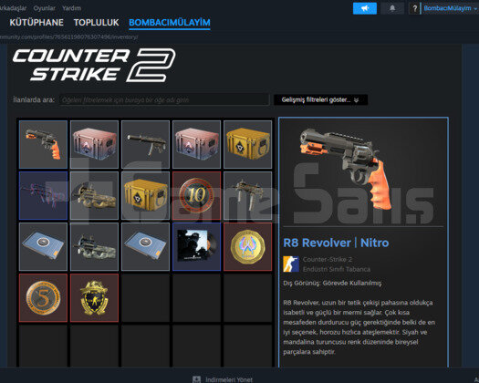 10 YILLIK JETONU BULUNAN STEAM HESABI