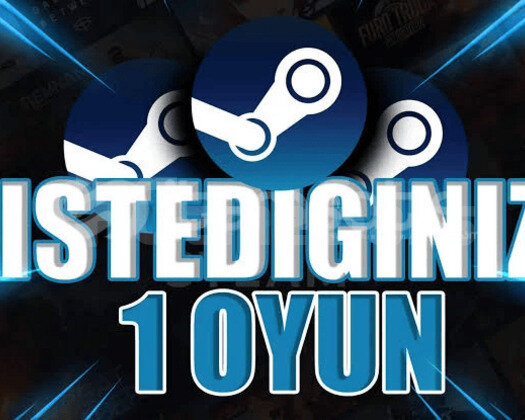 İstediğiniz 1 Oyun + Ömür Boyu Garanti / Destek