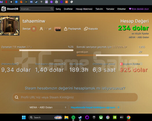 234 DOLAR DEĞERİNDE ACİL SATILIK STEAM HESABI