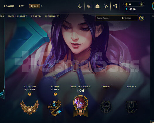 EUW Gold 2 | 3 Kostüm - 37 Hero | LoL Hesap