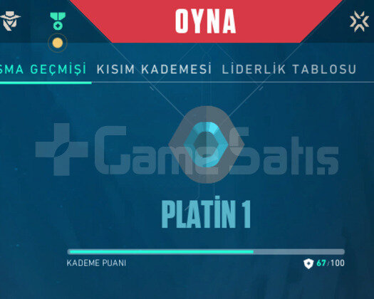 PLAT 1 MAİL ONAYSIZ TR HESAP + İSİM DEĞİŞTİRME