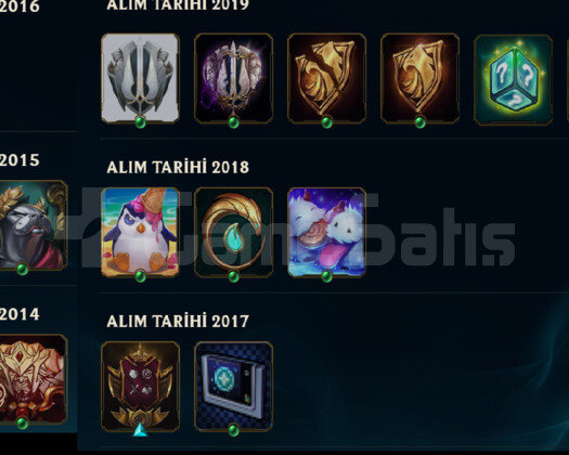 2014 KURULUM NADİR LOL HESABI