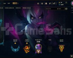 220 lvl plat elo 68 skın