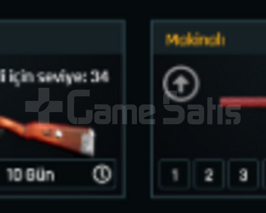 10 ADET +7Lİ 287 QUANTUMLU MAİNLİK 81 LEVEL HESAP