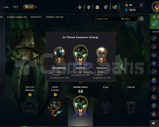 33 LEVEL HANDMADE 15DK BAN
