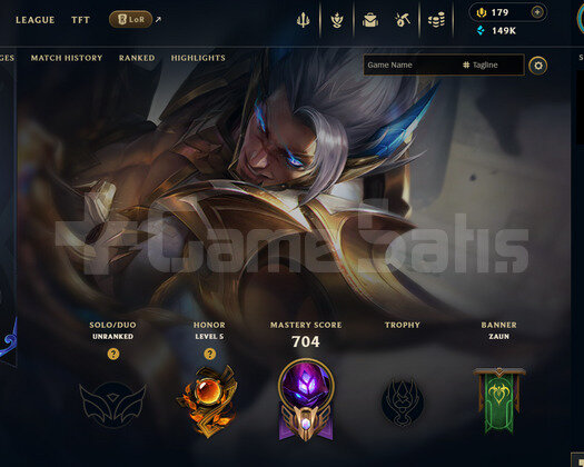 EUW 381 LEVEL | 152 KOSTÜM - 172 HERO | HANDMADE