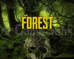 The Forest + Garanti