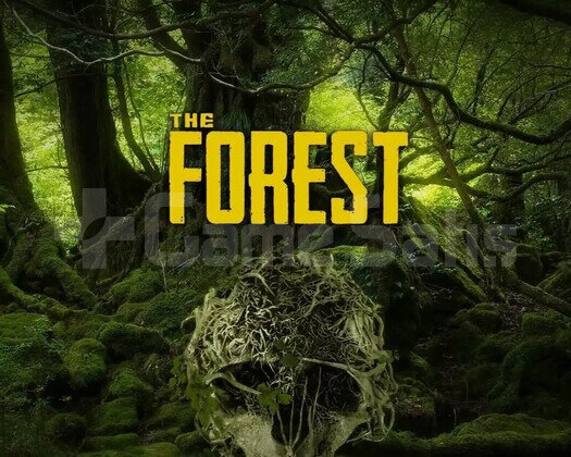 The Forest + Garanti