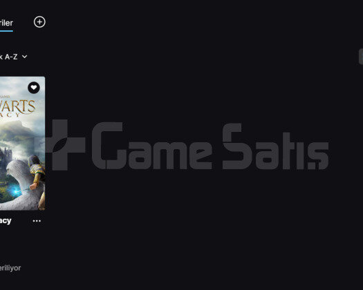HOGWARTS LEGACY EPİC GAMES HESABI