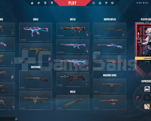 TR 10 Skin | 1 Vandal - 1 Phantom | Mailli Hesap