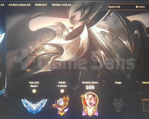Dianmond/rank1 TR hesaptır solo/duo alıcının hayır