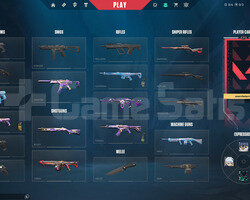 TR 10 Skin | 1 Vandal - 1 Phantom | Mailli Hesap