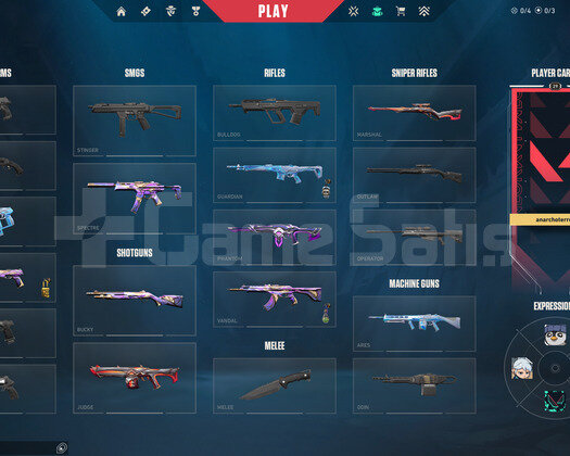 TR 10 Skin | 1 Vandal - 1 Phantom | Mailli Hesap