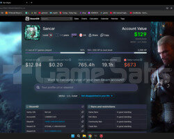 673 DOLAR DEĞERİNDE STEAM HESABI