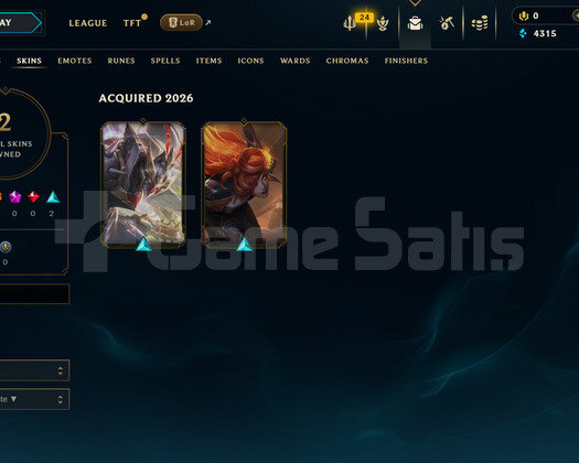 EUW Silver 1 | 2 Kostüm - 37 Hero | Handmade