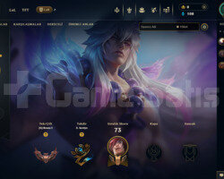 TR 35 LEVEL MAİLLİ 3 SKİNLİ BRONZ HESAP!!!