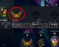GOLD 4 + 3 KOSTÜM + 40 HERO + 7K ÖZ + MAİL + TEL!