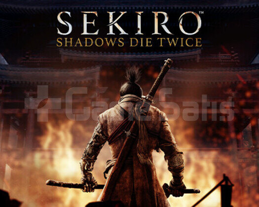 Sekiro Shadows Die Twice + Garanti