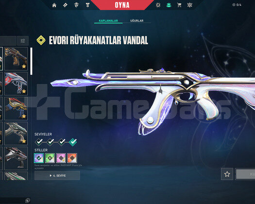 19 VANDALLI DOPDOLU MAİNLİK ACC!