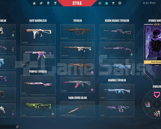 TERTEMİZ MAINLEMELIK/SMURFLUK FECİ HESAP!!