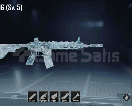 Araçlı 2 m4 lü uyguna pubg hesap