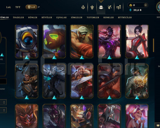 173 LEVEL + 80 KOSTÜM + 90 HERO + PLATİN 4 + MAİL!