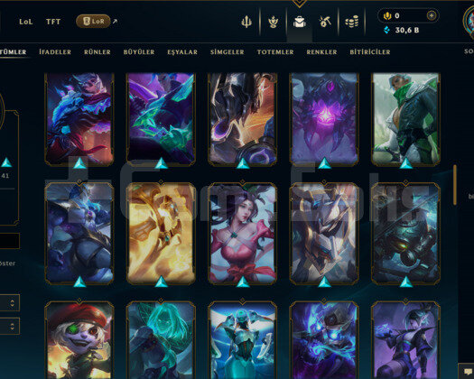 173 LEVEL + 80 KOSTÜM + 90 HERO + PLATİN 4 + MAİL!