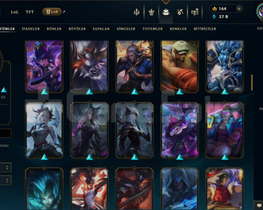 488 LEVEL + 107 KOSTÜM + 121 HERO + 37K ÖZ + MAİL!