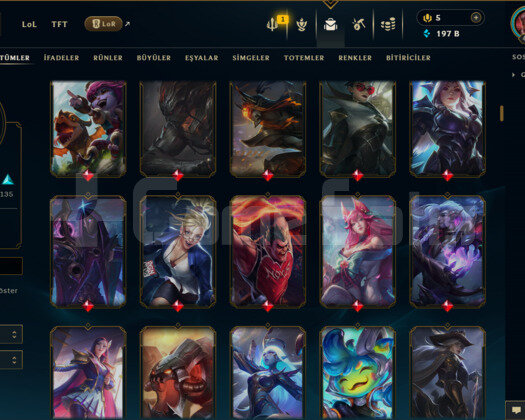 EUW / 454 LEVEL / 248 SKİN /+MAİL /+11.800 SATIŞ