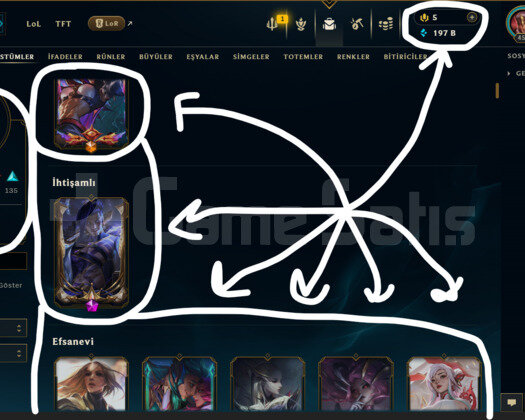 EUW / 454 LEVEL / 248 SKİN /+MAİL /+11.800 SATIŞ