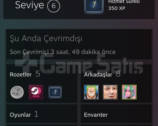 CS2 7 YILLIK 2 MADALYA PRIME HESAP