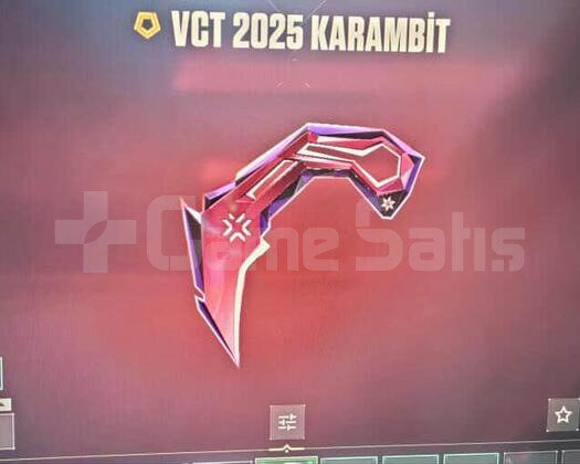 VCT 2025 KARAMBİT VE CHAMPİONS 2025 FULL SETT