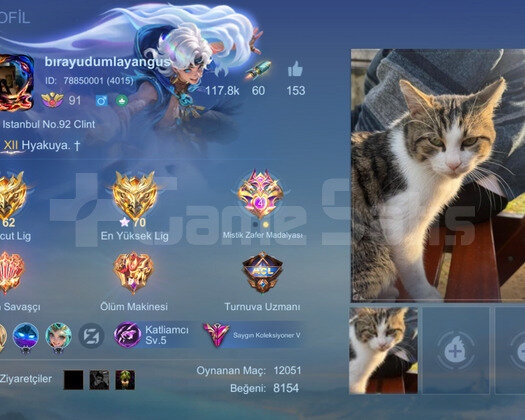 Adc main oranlar saglam