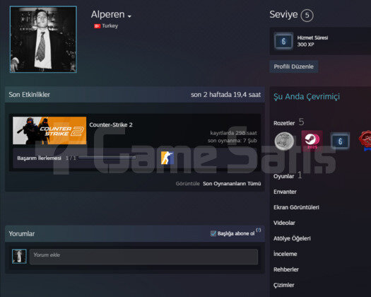6 YILLIK CS2 HESABI PREMİER 17K