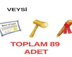 HIZLI 89 ARAZİ