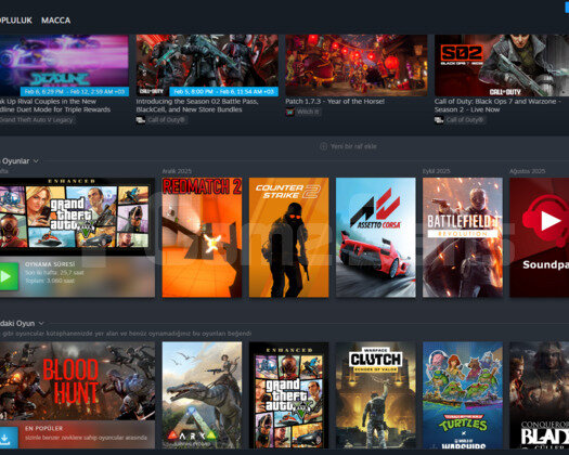 Steam Uyguna Sahibinden Ömürlük Hesap
