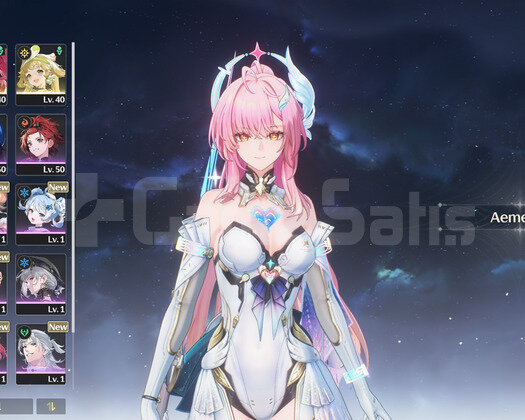 R6W1 Aemeath + Lupa