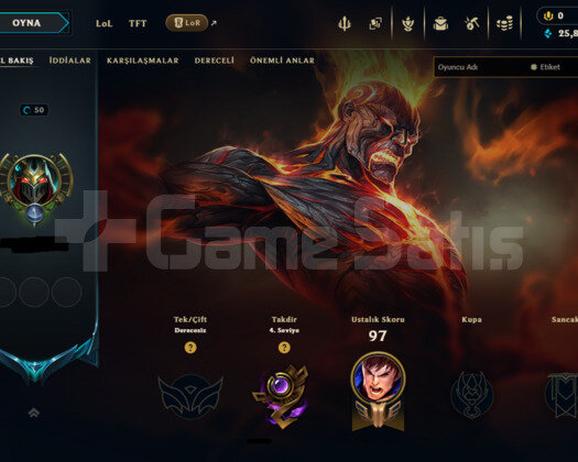 EUW PLAT HANDMADE +25 30