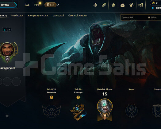 TR HANDMADE 40 HERO 2 SKIN UNRANKED