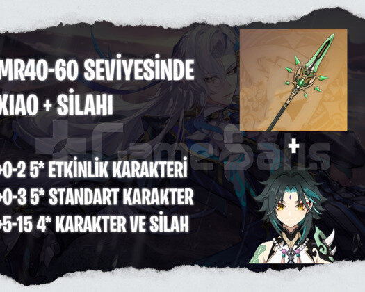 EU | MR40+ Xiao + Silahı